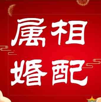 夫妻五行|属相婚配,属相配对,夫妻五行属相配对,八字婚配测算